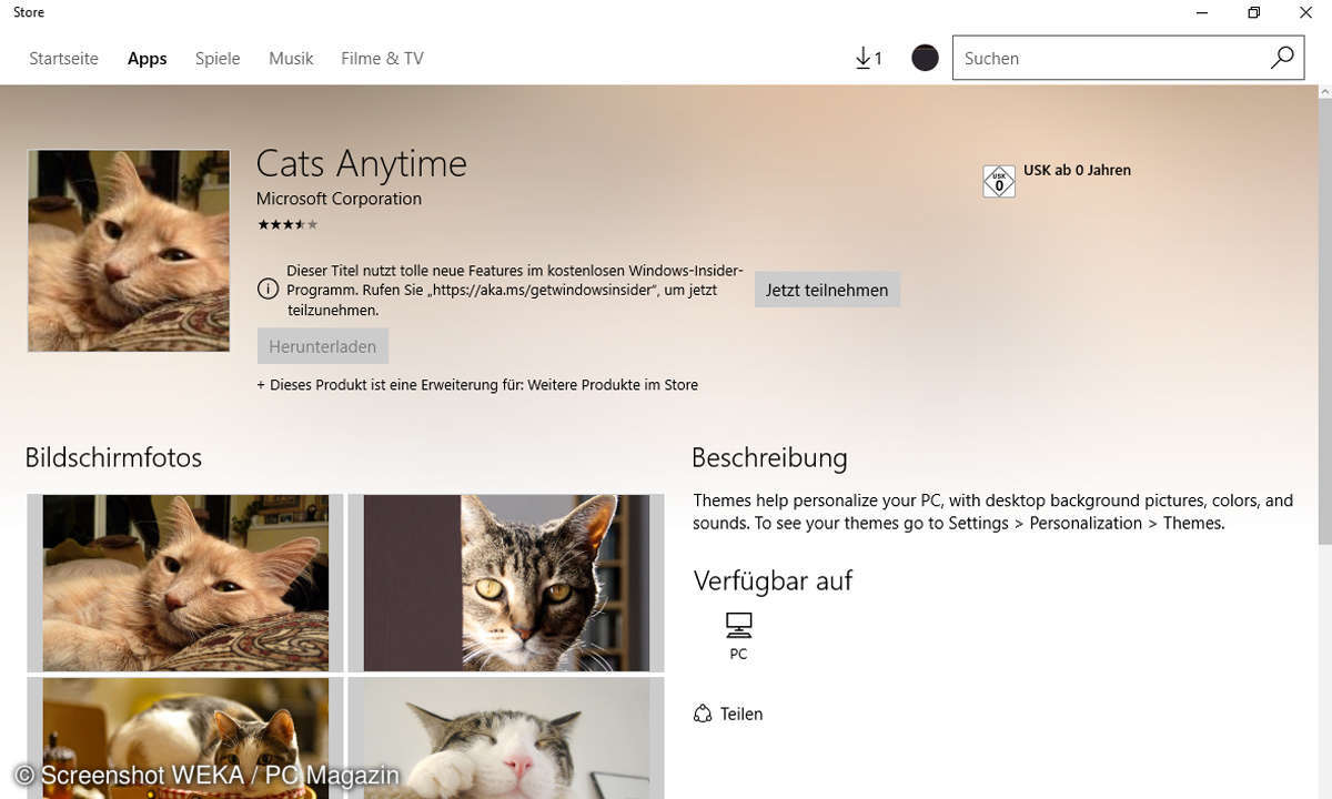 Cats Anytime