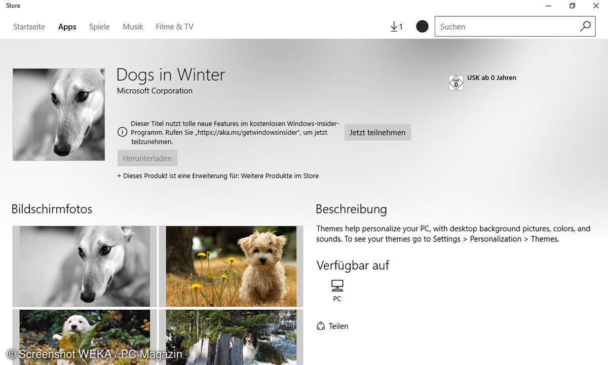 Dogs in Winter