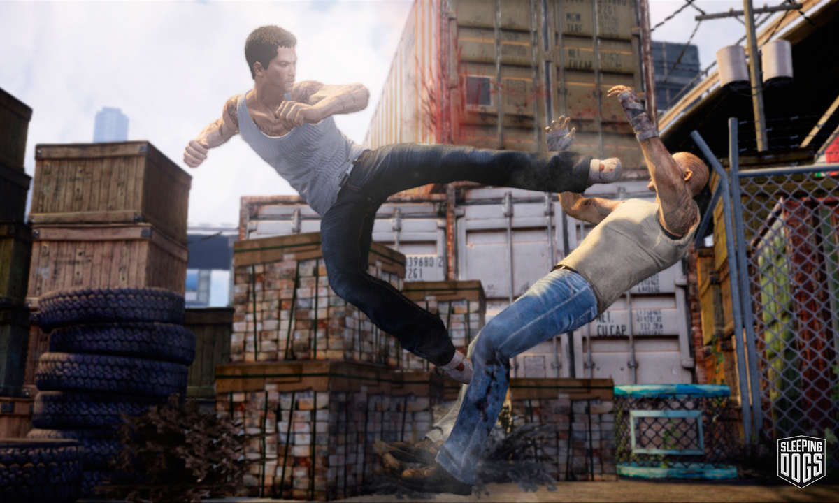 Sleeping Dogs