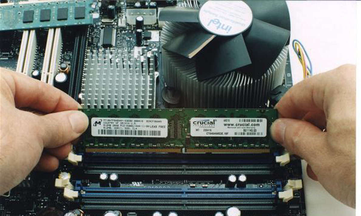 Ram