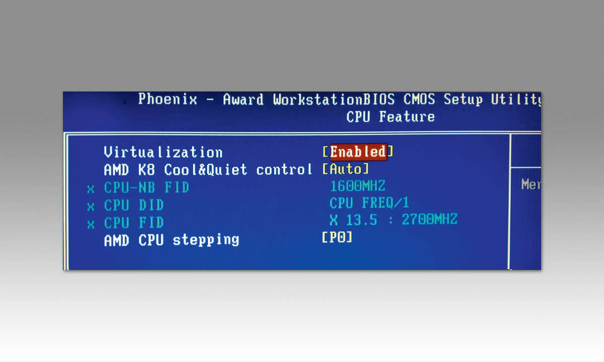 Screenshot: BIOS