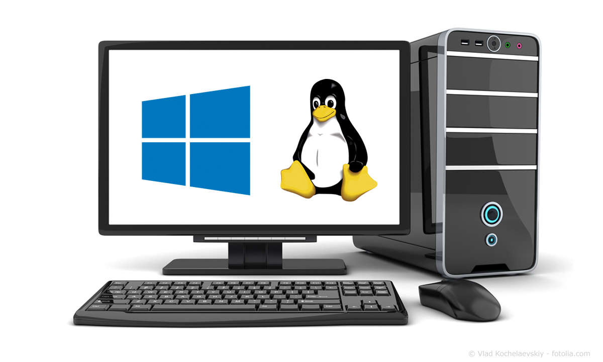 Windows 10 Linux Dual Boot