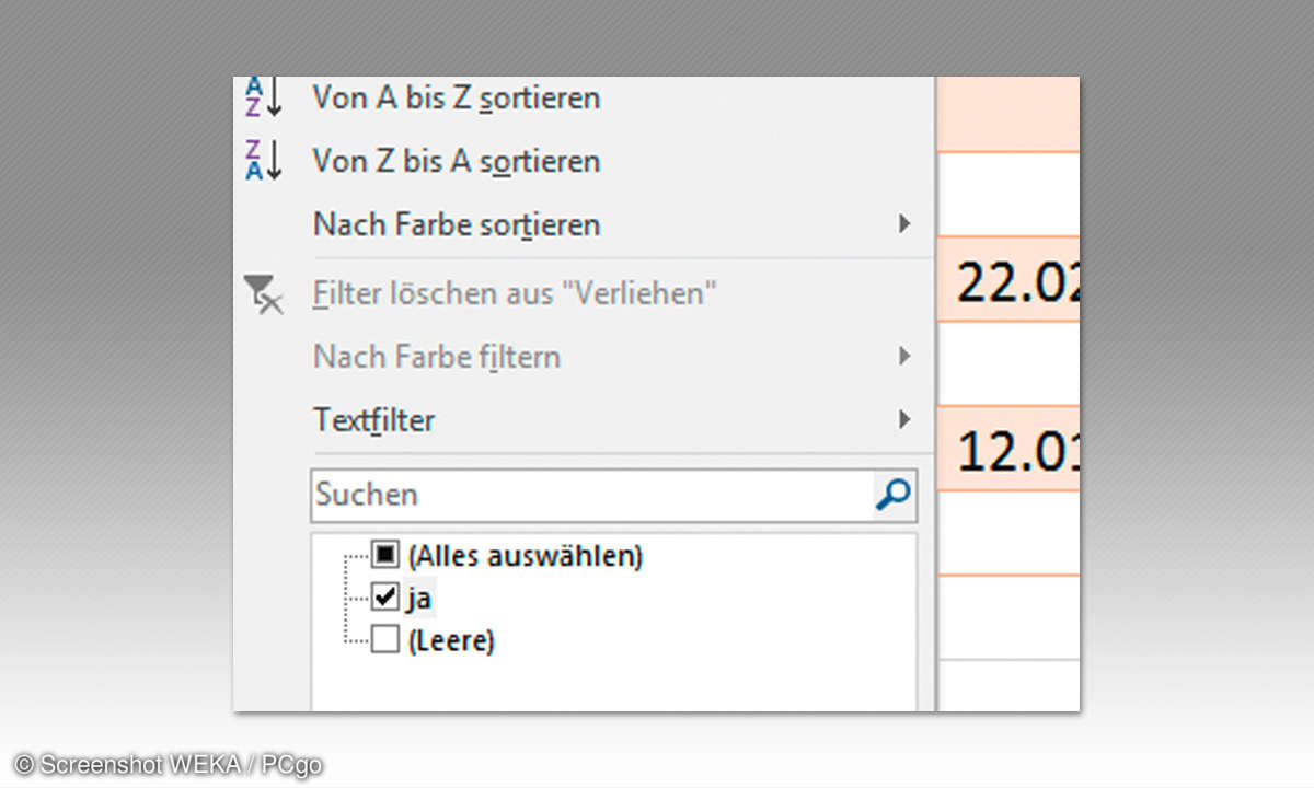 Excel Leihliste