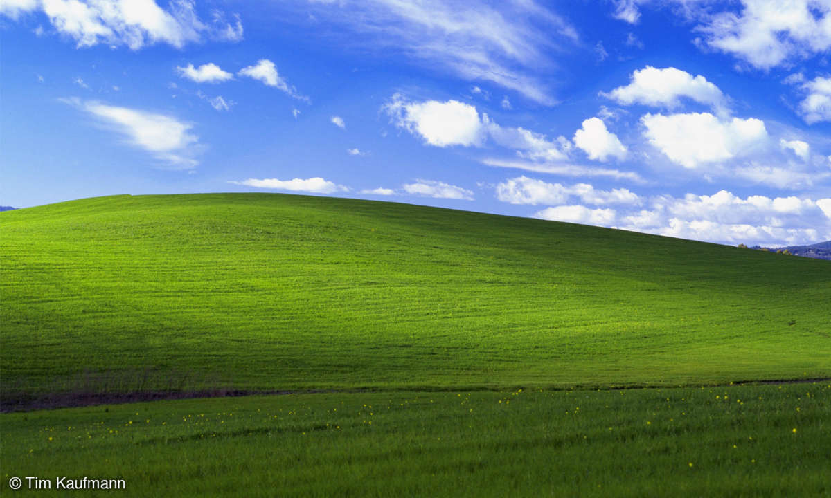 Screenshot: Windows XP