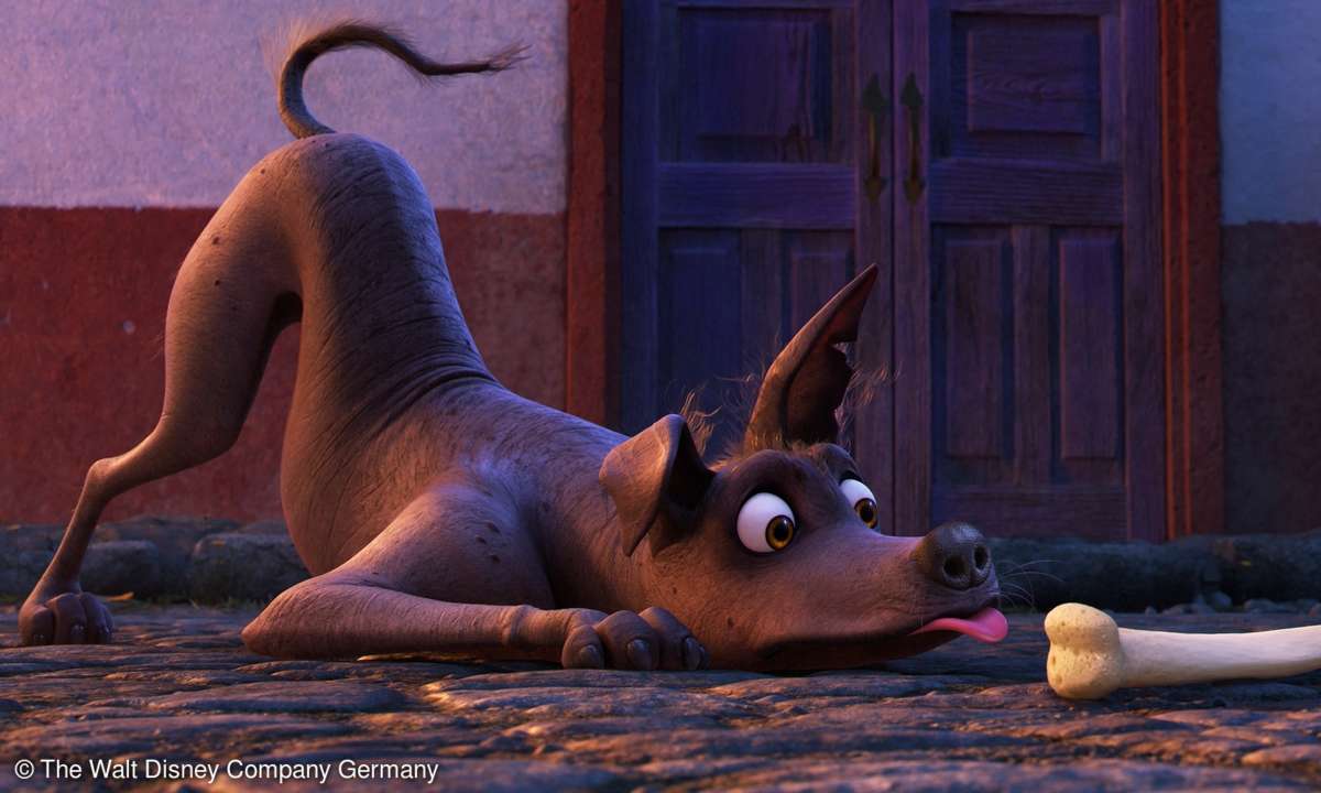 Disney Pixar Dante