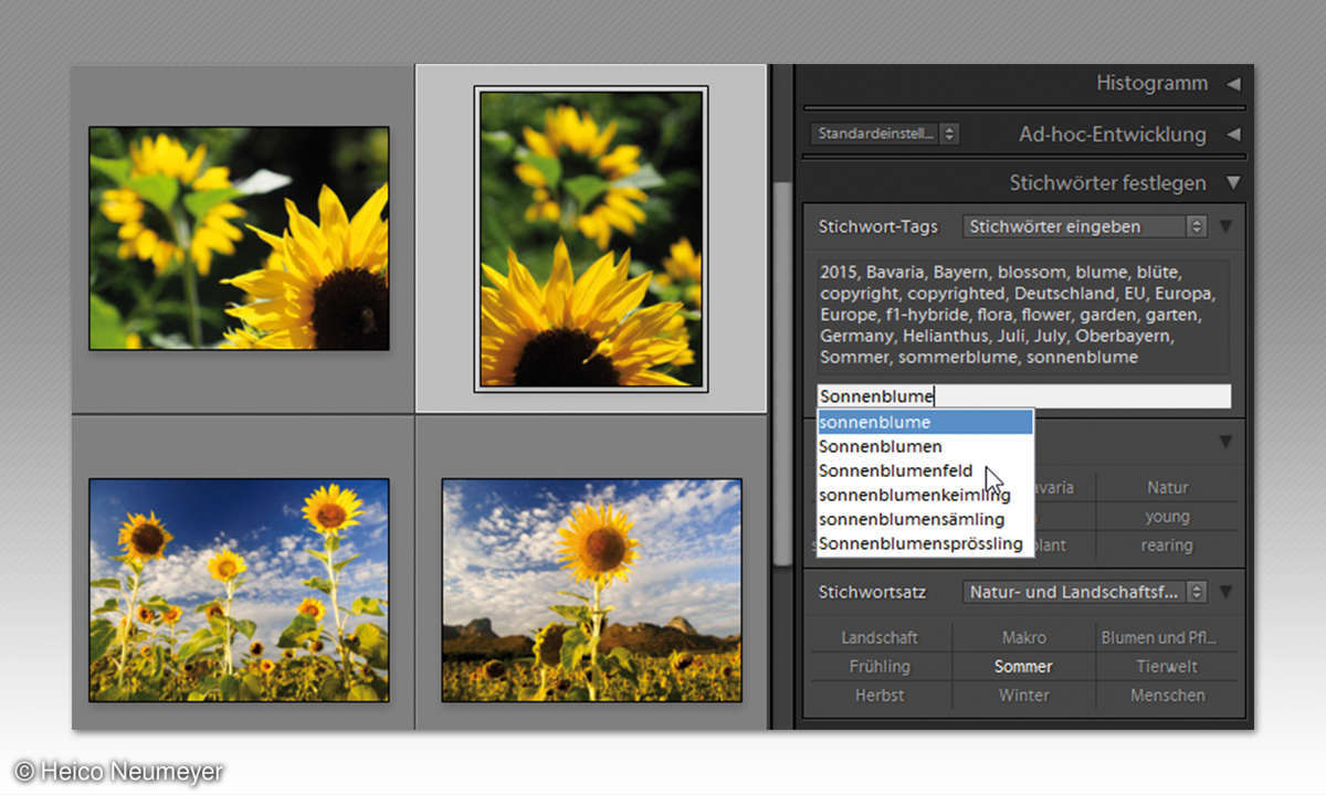Lightroom Szichwörter zuweisen