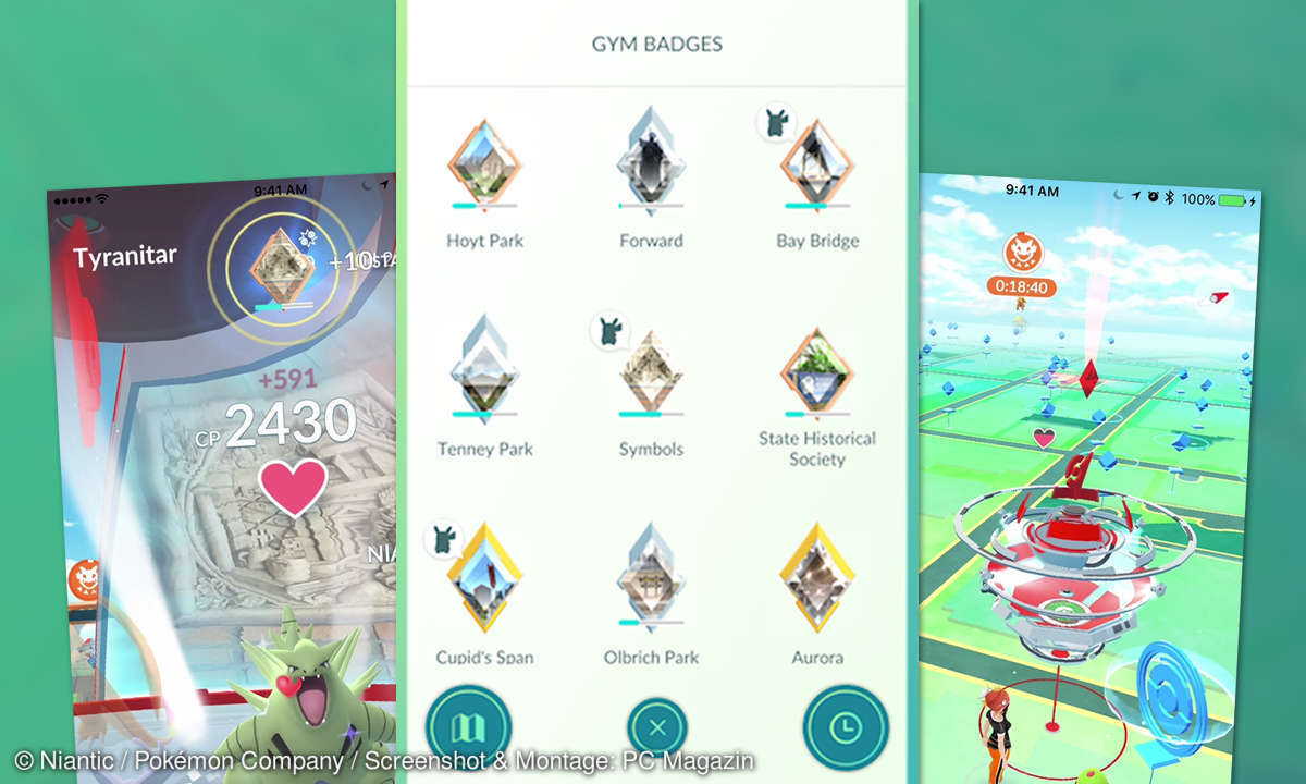 Pokémon GO Arena-Orden