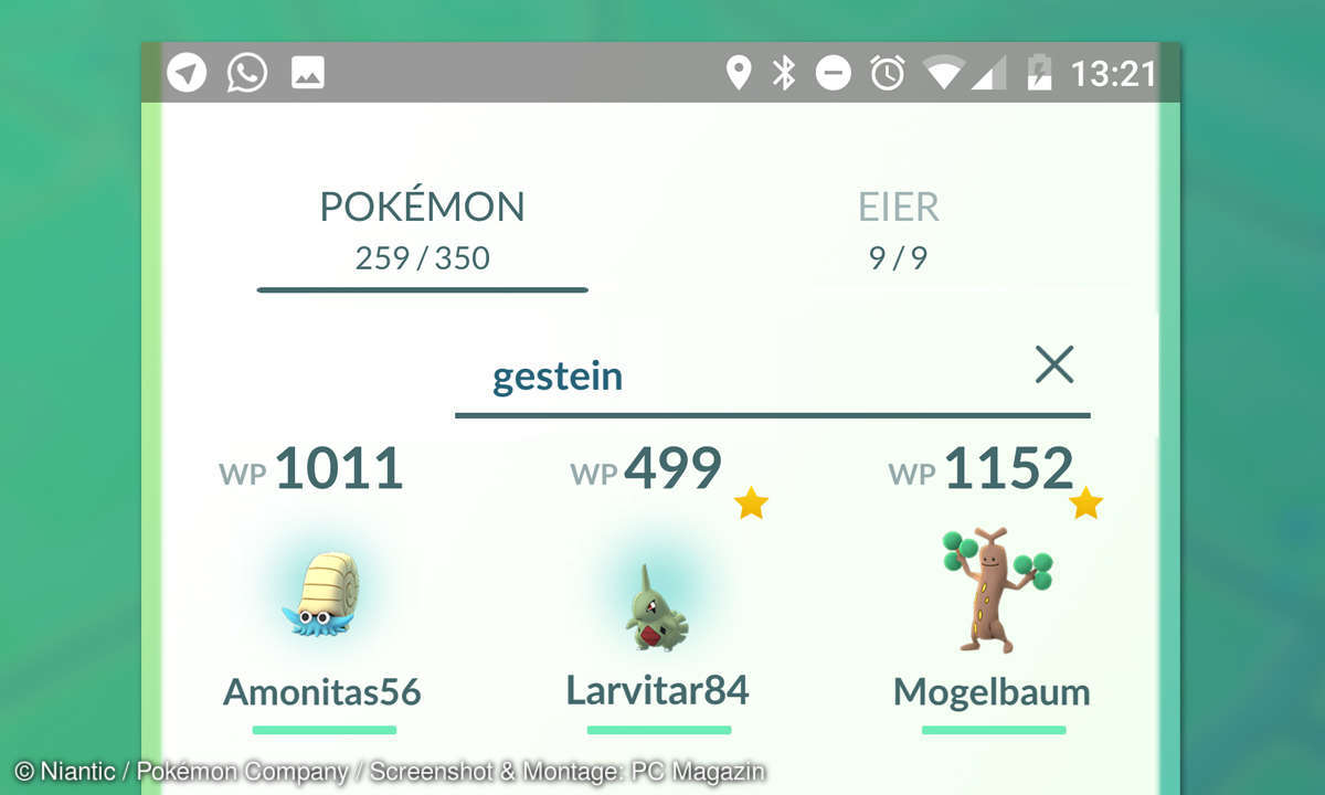 Pokémon GO Suche nach Pokémon-Typ
