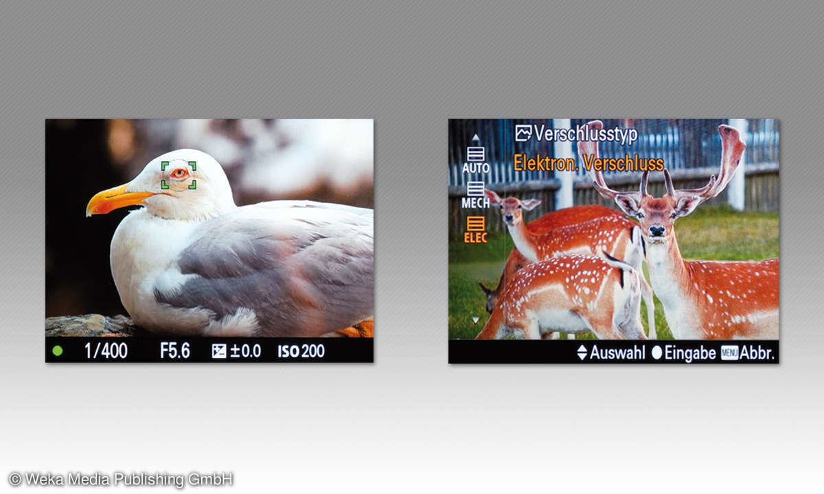 Sony Alpha 9 Screens