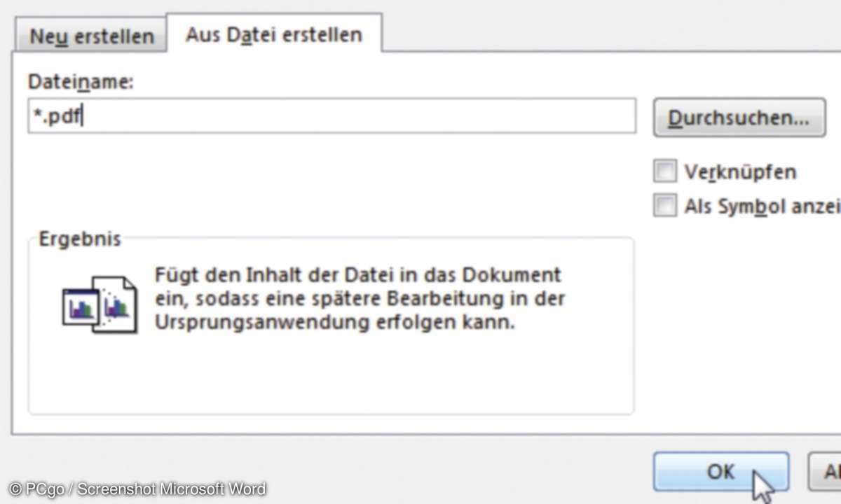 pdf in Word einfügen