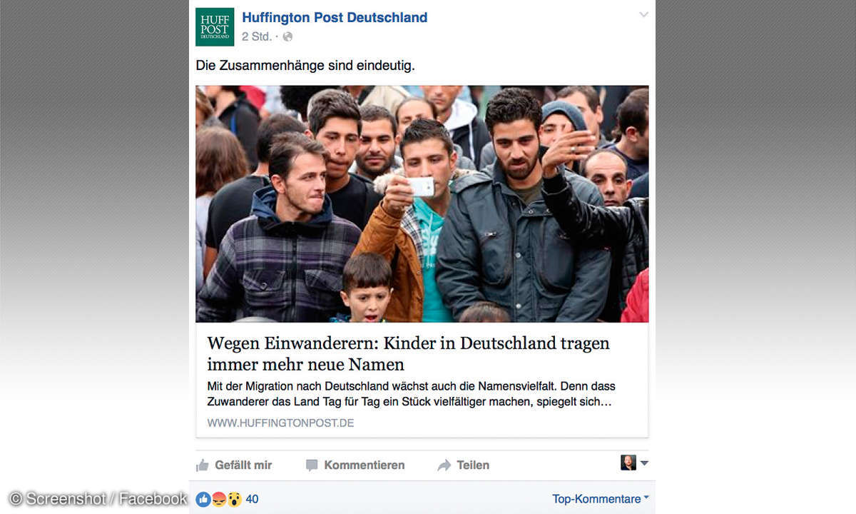 Bundestagswahl 2017: Fake-News