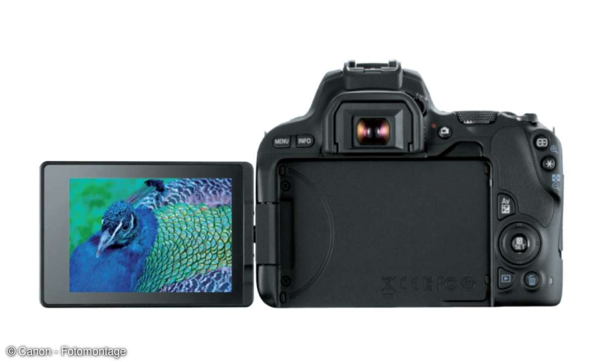 Canon 200D Rückansicht