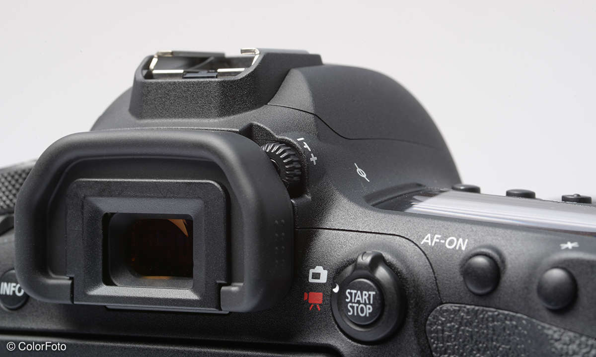 Canon EOS 6D mark II Detail