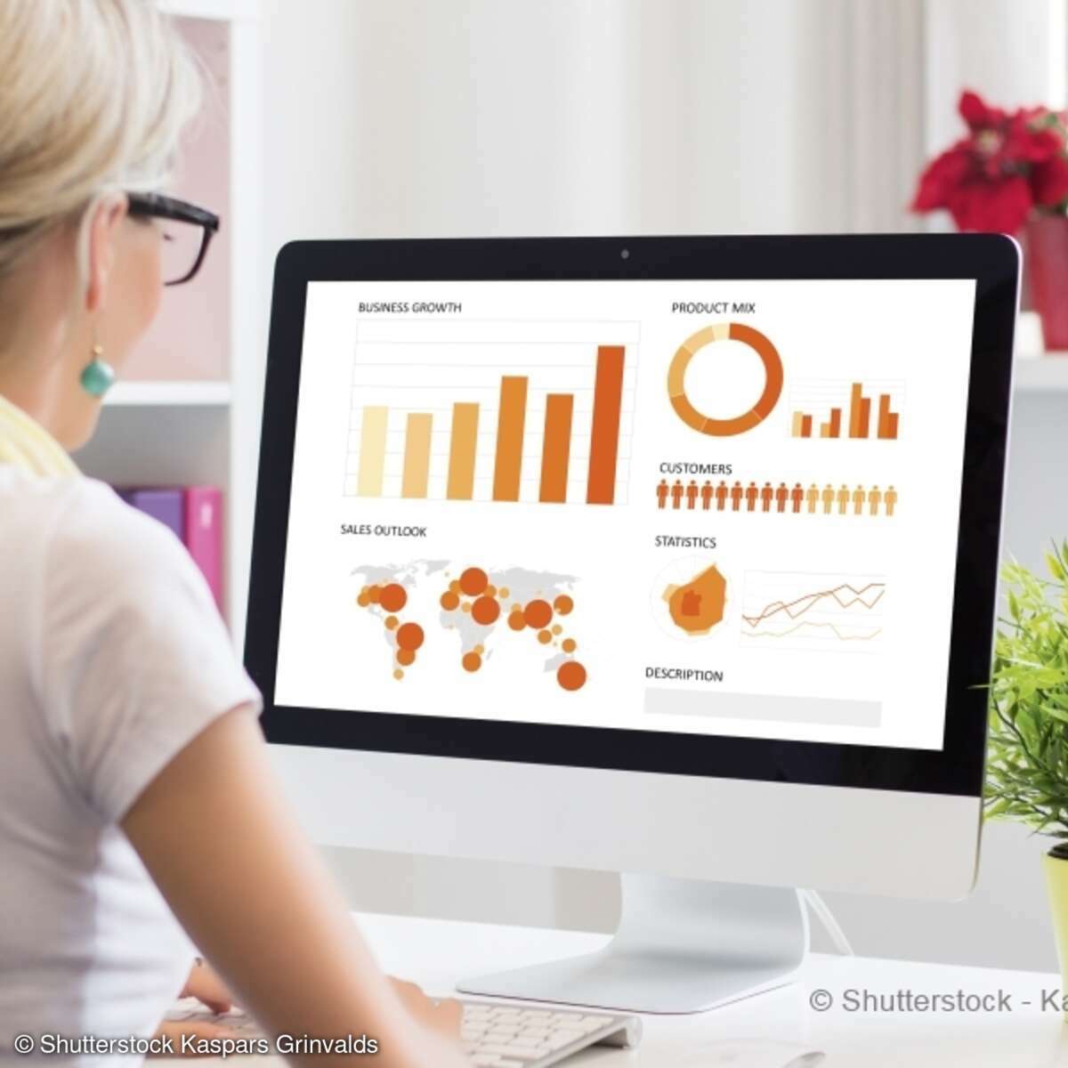 Shutterstock Frau PC Diagramme excel