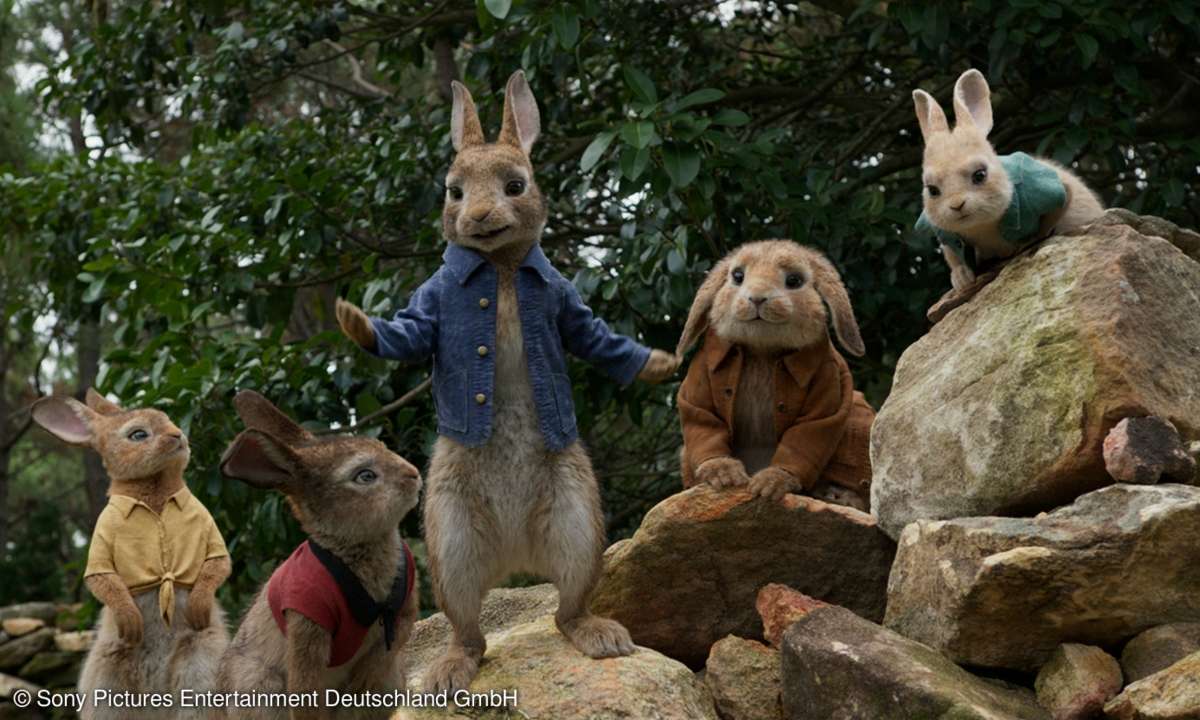 Peter Rabbit Beatrix Potter