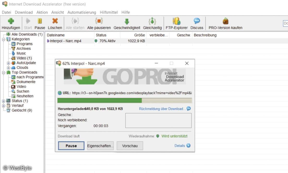 Internet Download Accelerator