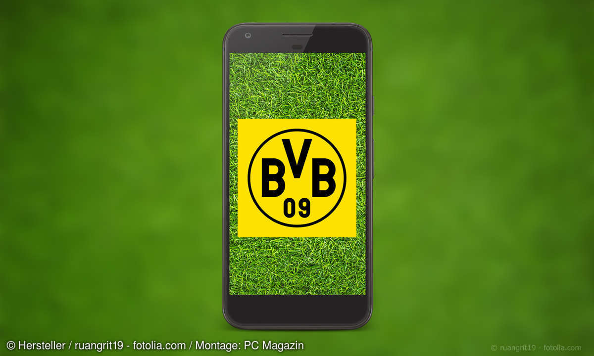BVB App Sicherheit Test