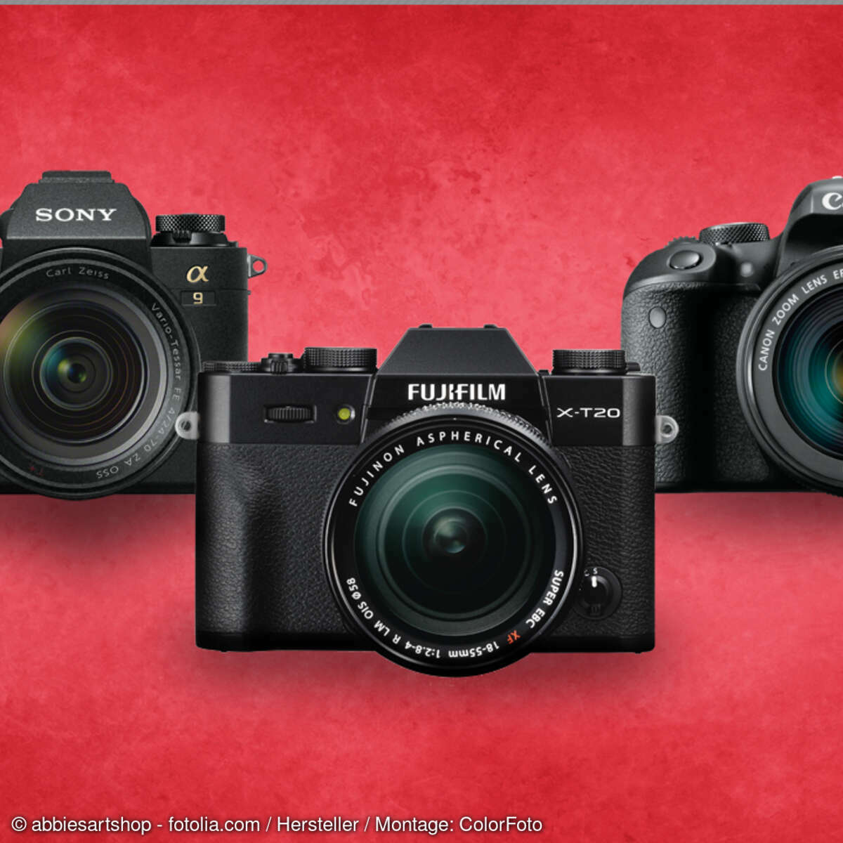 DSLR RAW-Test Canon Nikon Sony