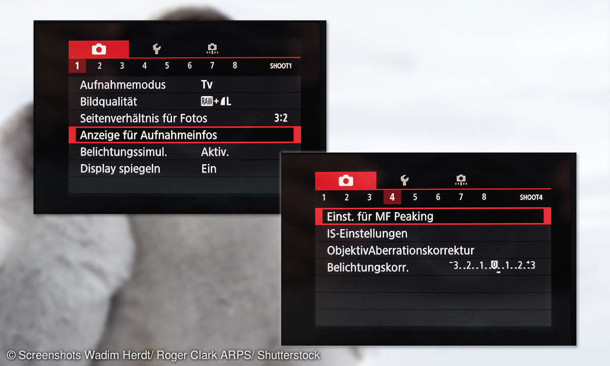 Canon EOS M100 Menü im Detail