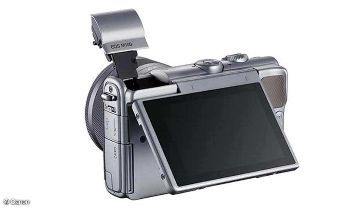 Canon EOS M100 Display