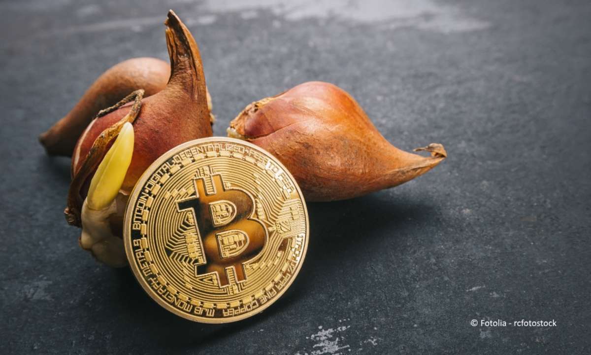 Bitcoin Tulpen Blase Fotolia 182619670