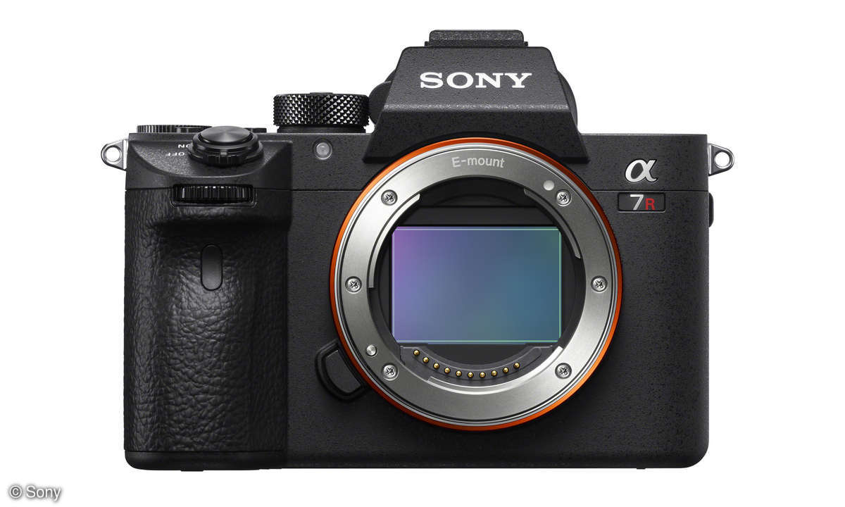 Sony Alpha 7RIII Sensor