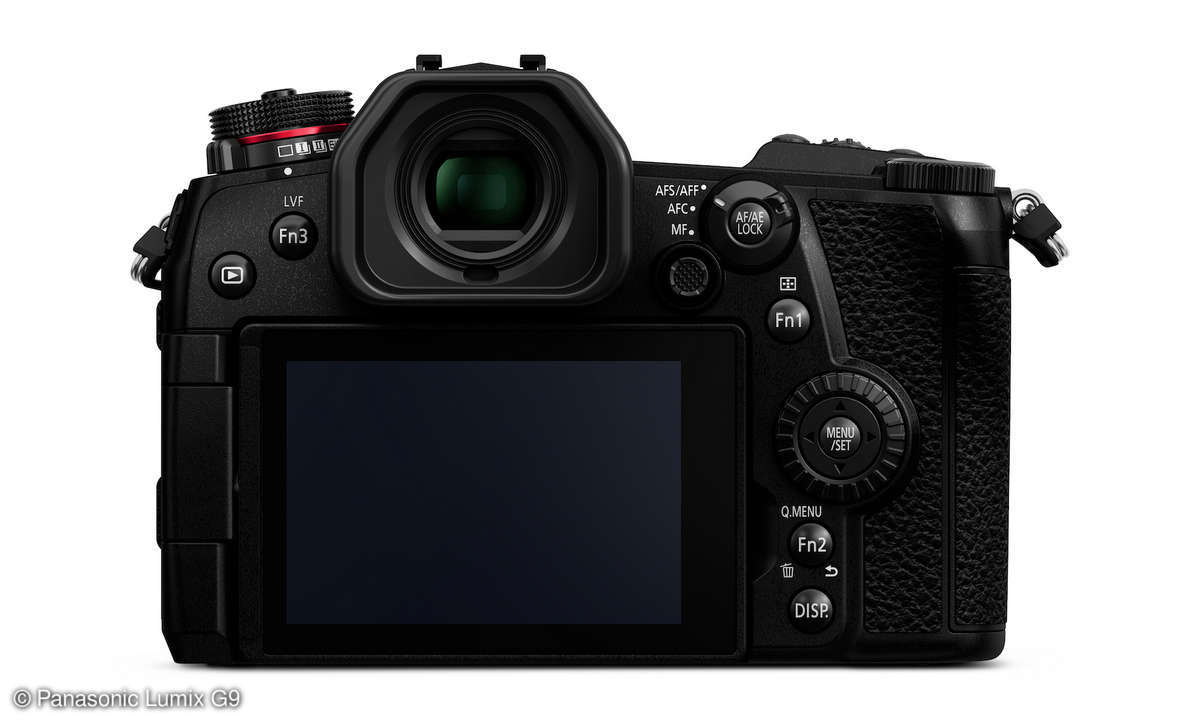 Panasonic Lumix G9 Monitor