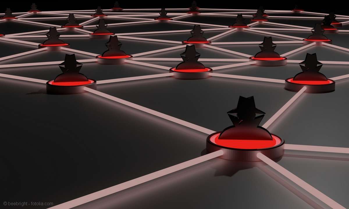 Botnetz erkennen und Funktionsweise verstehen