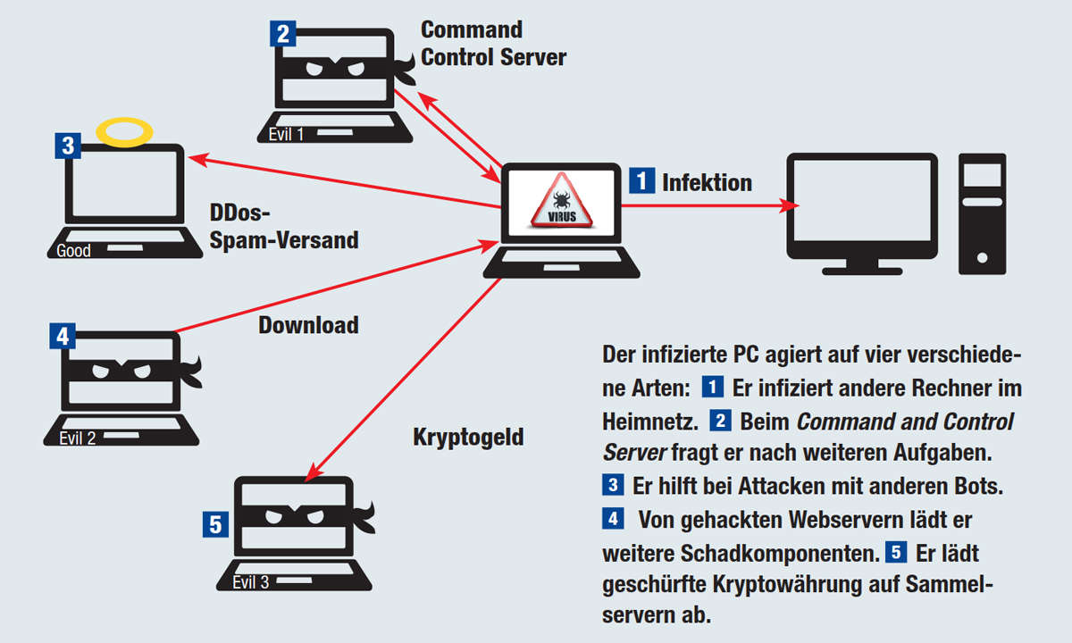 Botnetz Funktionsweise