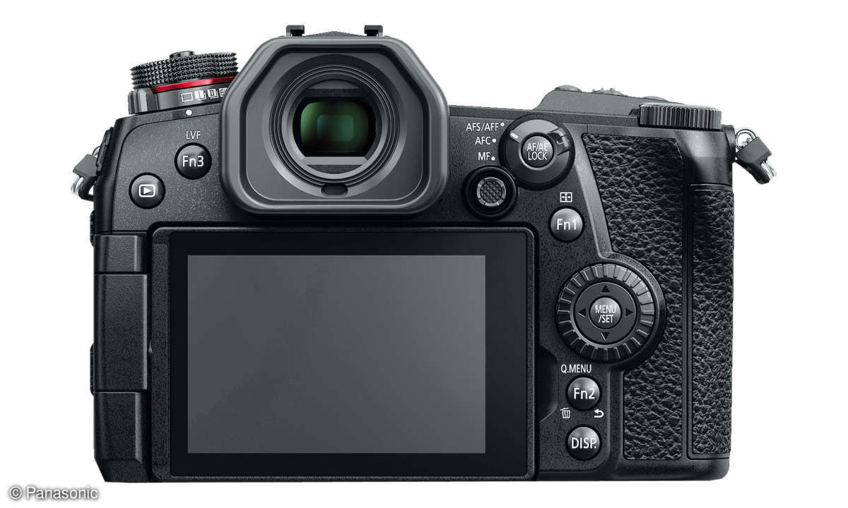 Panasonic Lumix G9 Sucher & Monitor