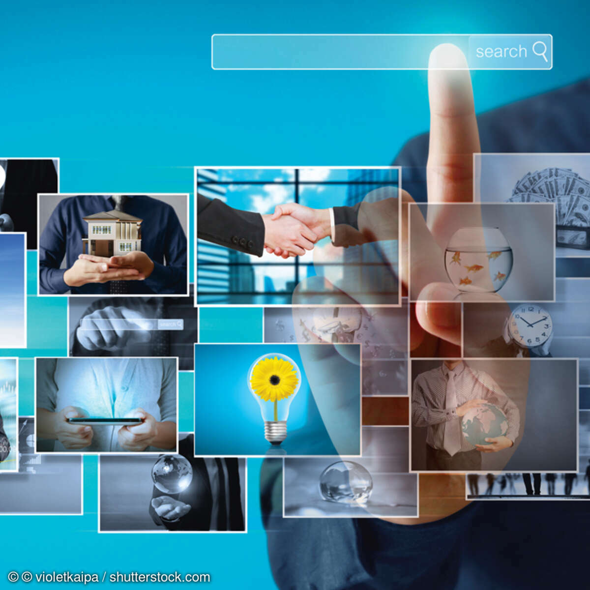 Google Fotos Bildverwaltung- Shutterstock