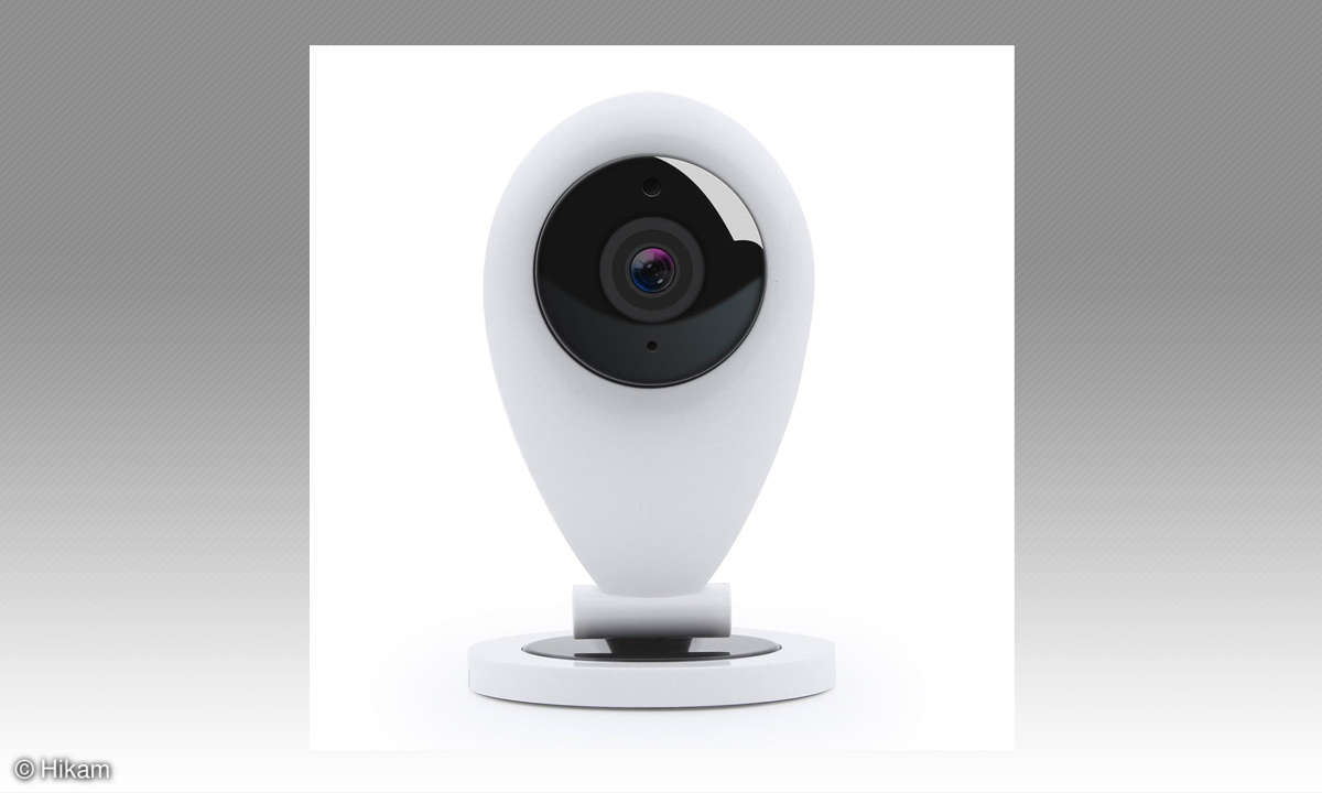 IP Cameras mit NAS steuern - Hikam