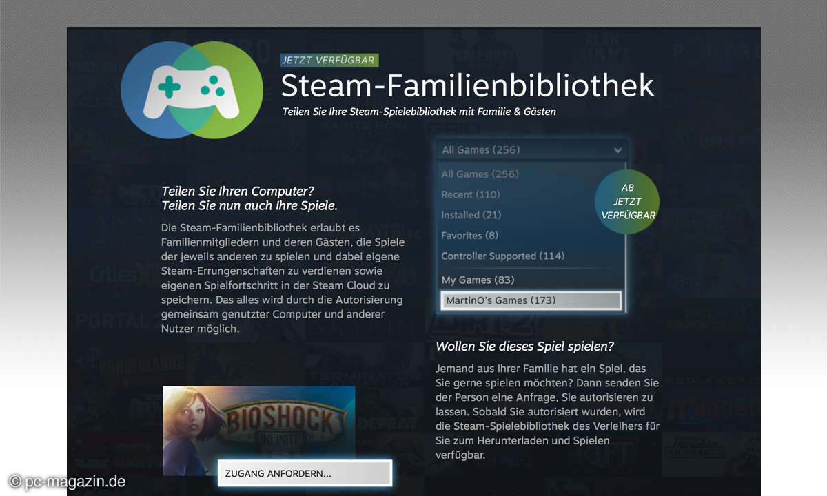 Steam Familienbibliothek