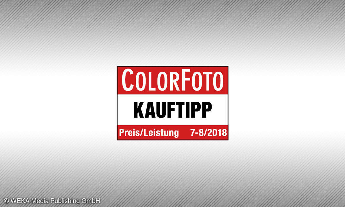 Testsiegel Canon M50 Preis/Leistung Kauftipp