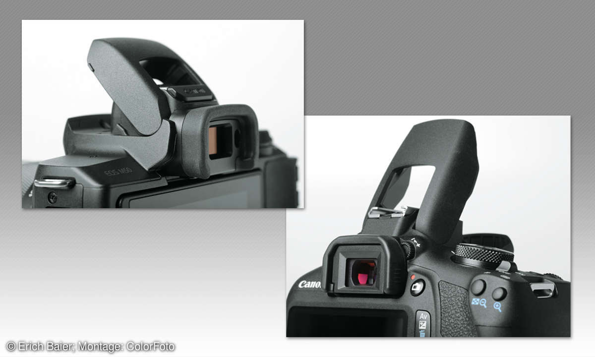 Canon EOS 2000D vs. EOS M50: Blitz