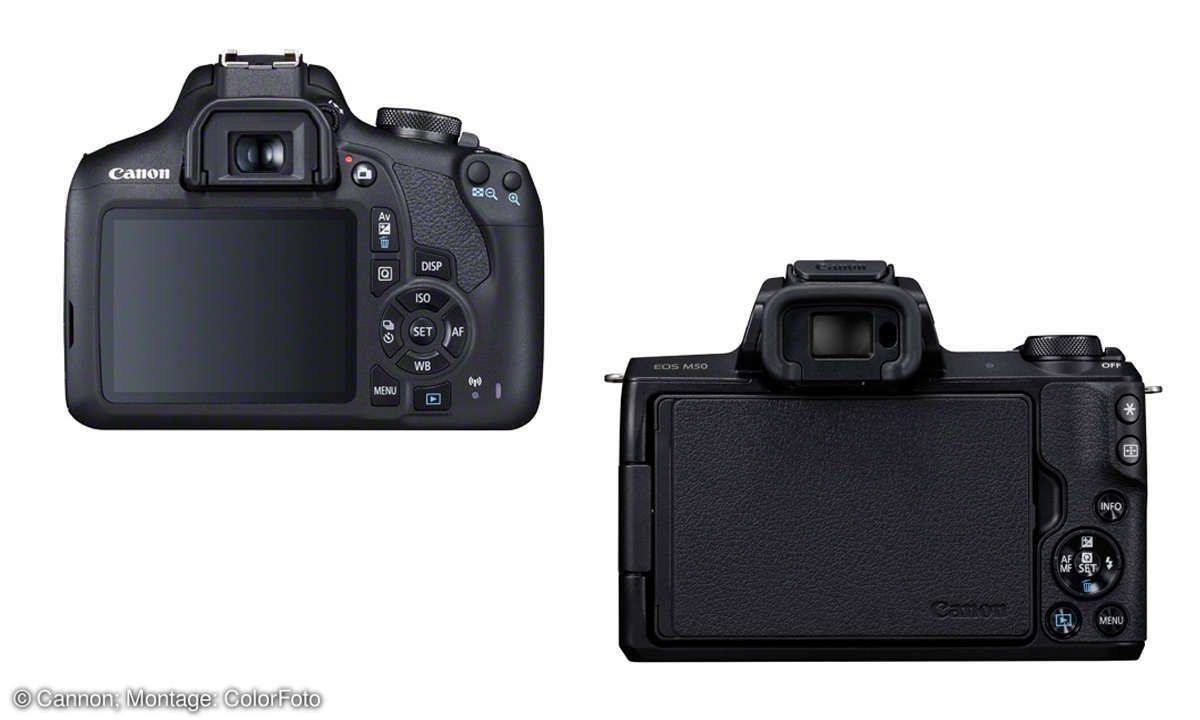 Canon EOS 2000D vs. EOS M50: Rückansicht