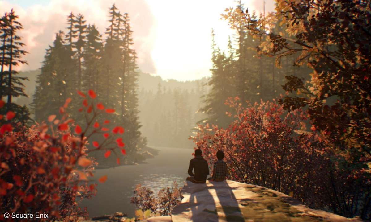 Life is Strange 2: Test