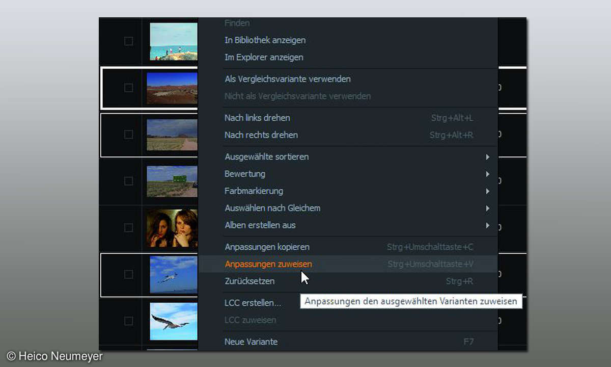 Capture One Anpassung zuweisen