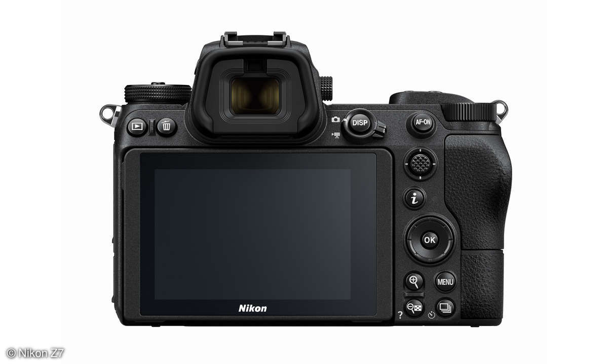 Nikon Z7 Monitor