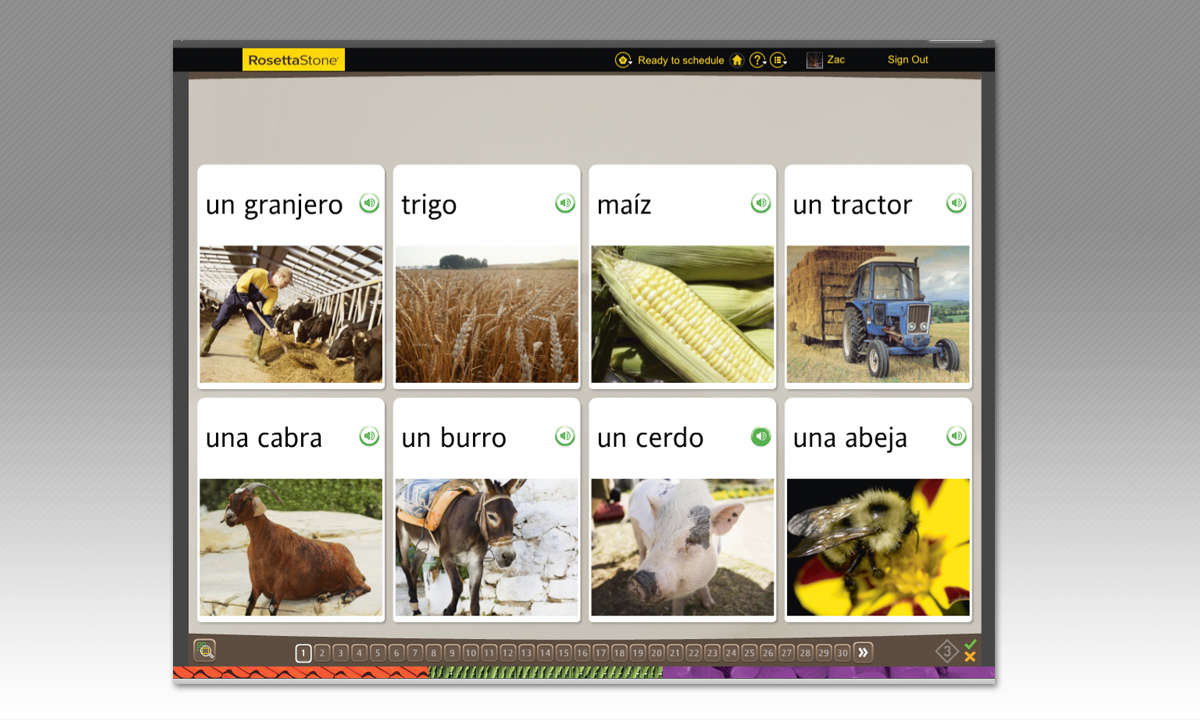 E-Learning: Rosetta Stone