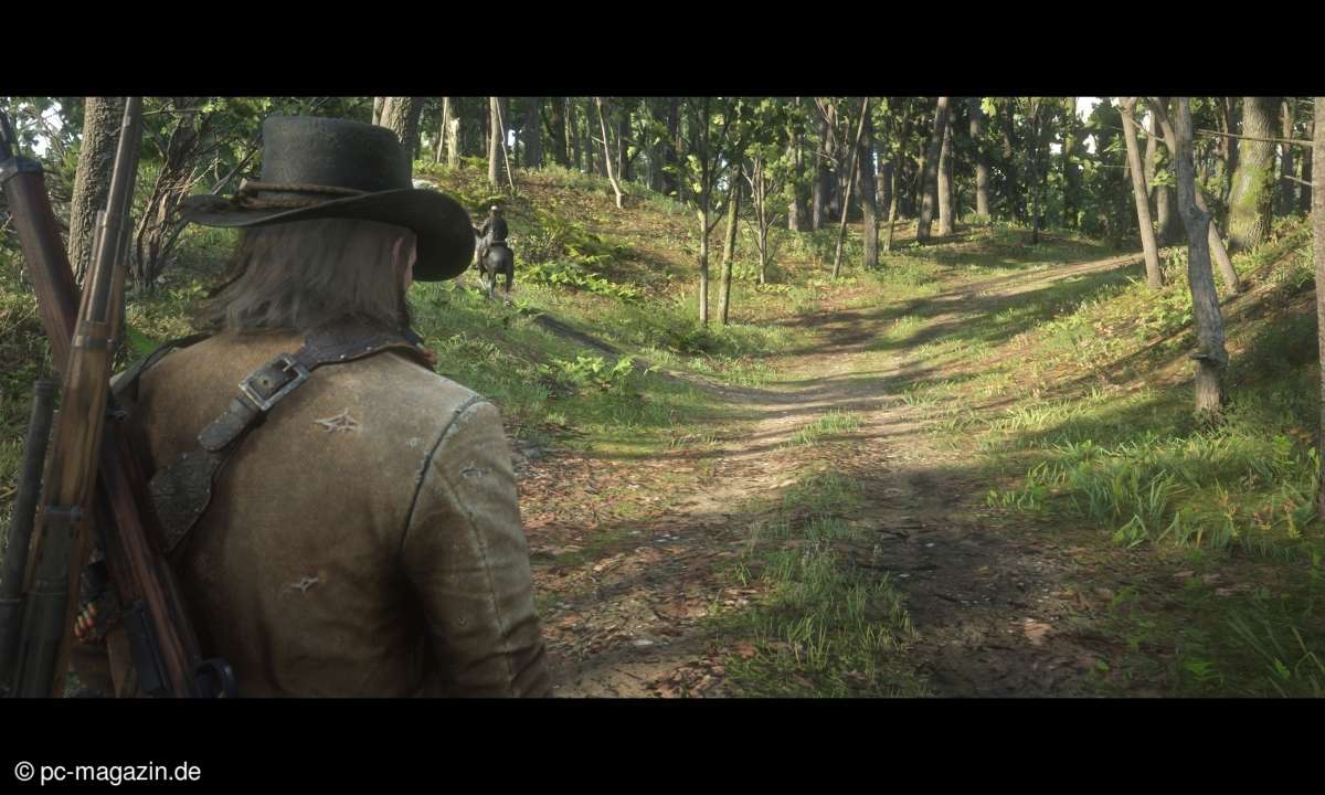 Red Dead Redemption 2: Screenshot
