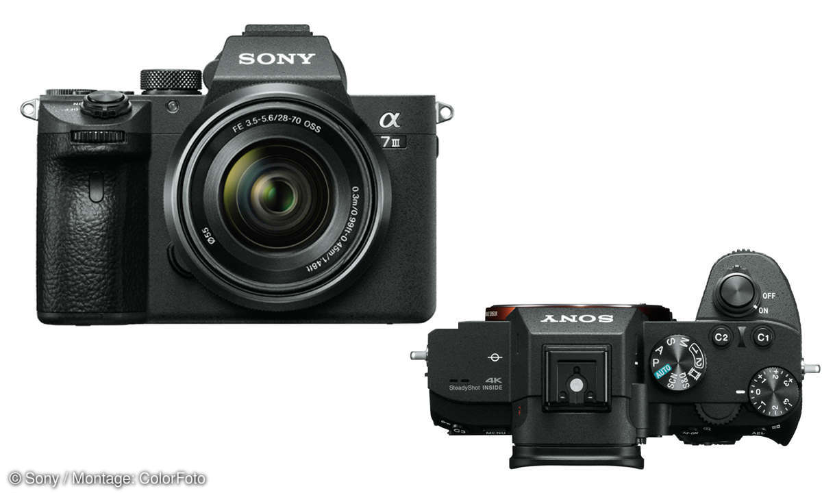 7 Systemkameras im Vergleichstest: Sony Alpha 7 III