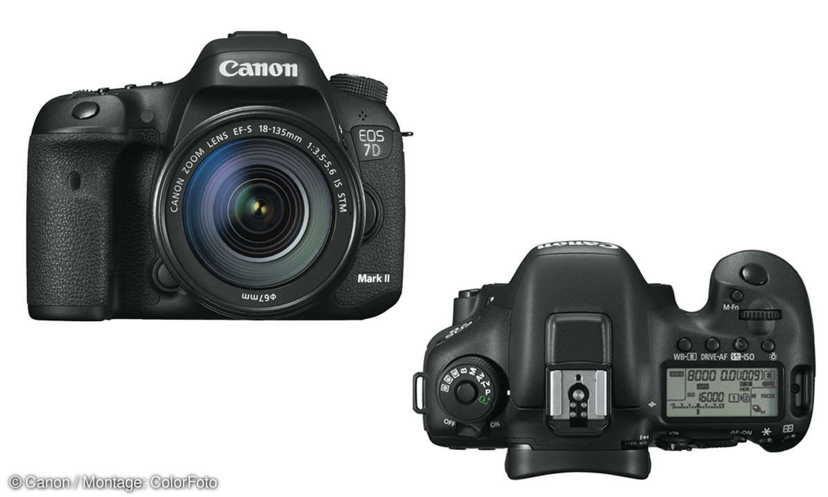 7 Systemkameras im Vergleichstest: Canon EOS 7D Mark II