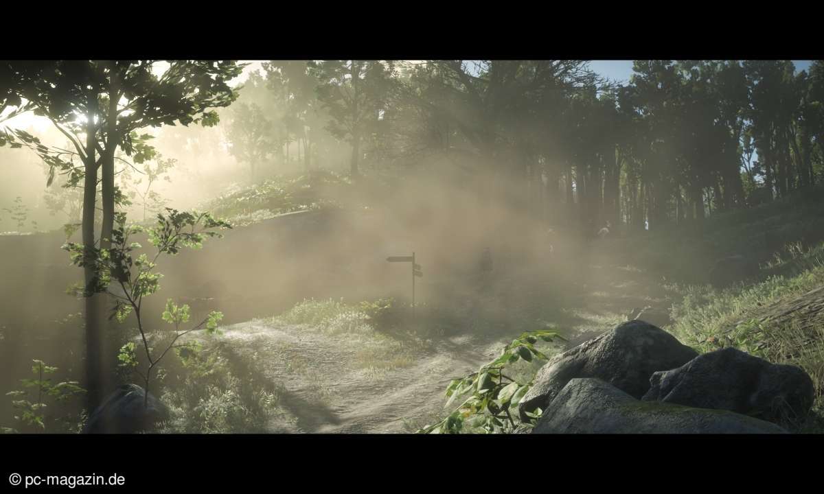 Red Dead Redemption 2 Screenshot