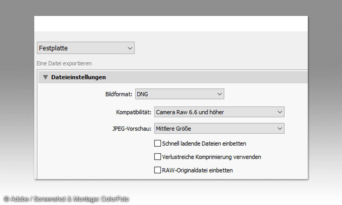 DNG Format nutzen - das müssen sie wissen - Einstellungen