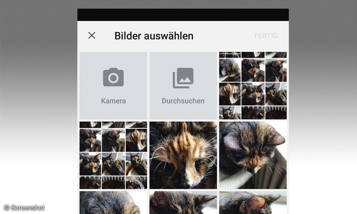 Android-Browser: 9 Alternativen zu Chrome