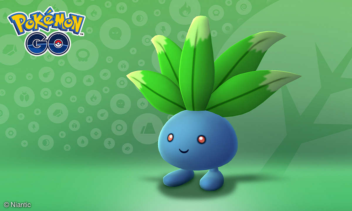 pokemon go aequinoktium event