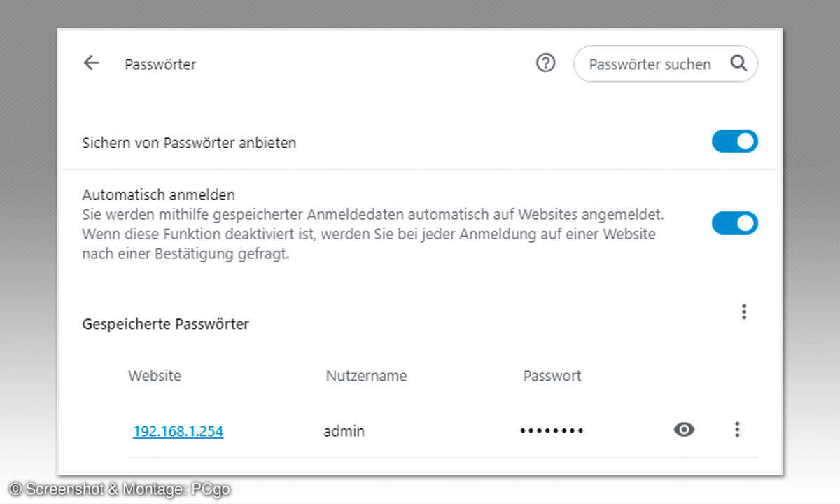 Opera Version 60: Passwort in Klartext