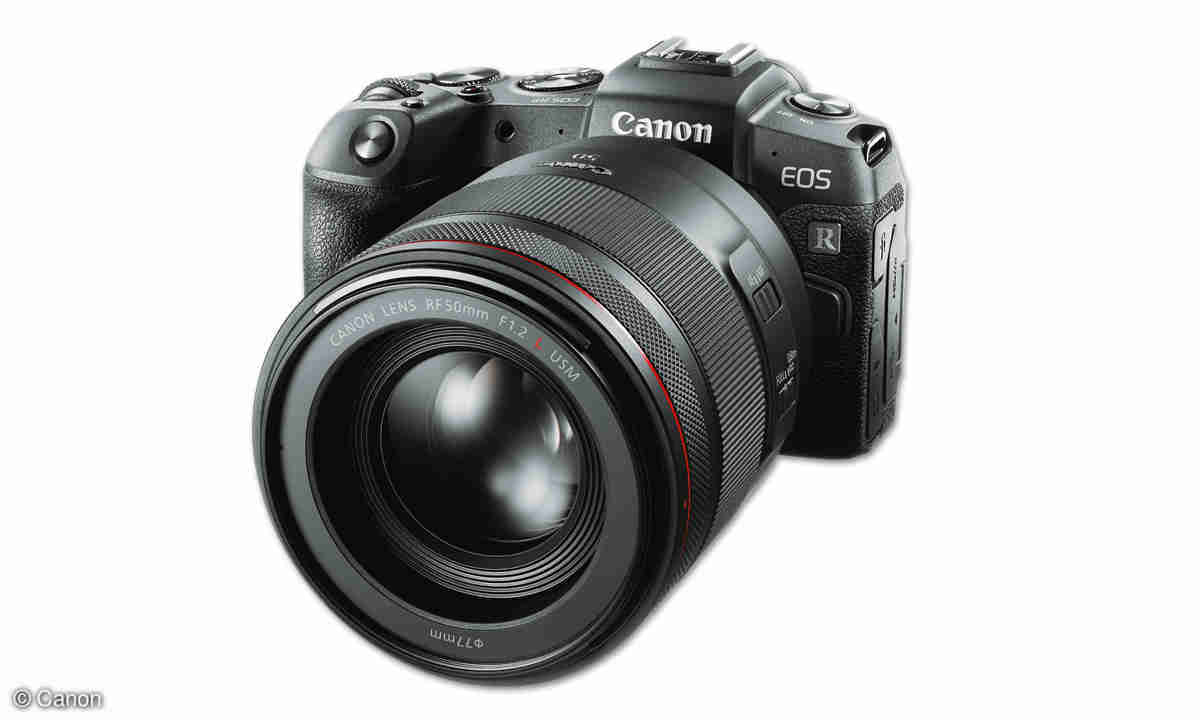 Canon EOS RP vs. EOS R im Vergleichstest - connect-living