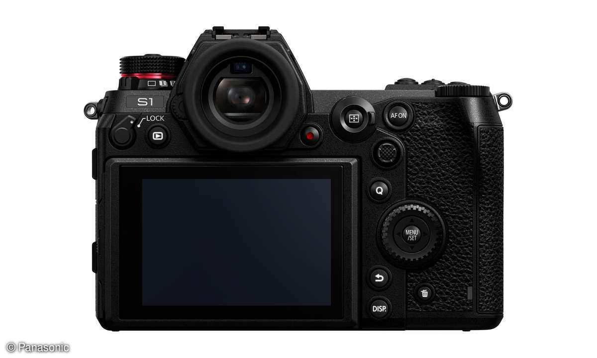 Panasonic S1 Monitor